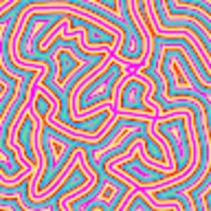 Meet your Posher, Marissa